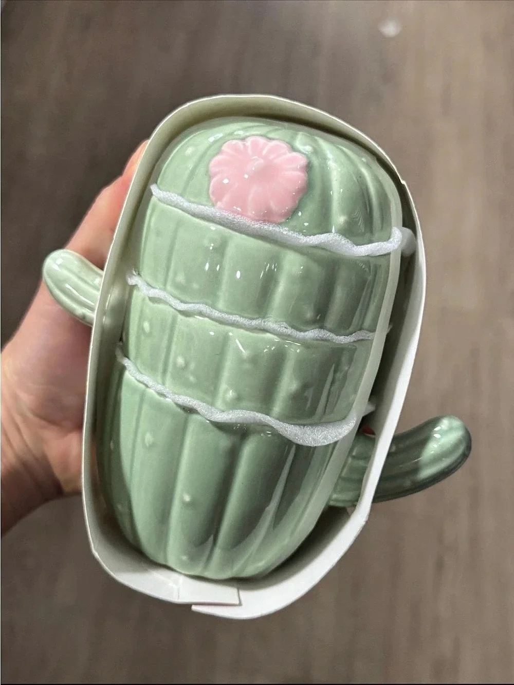 Cactus Storage Container in Green & Pink NWT